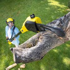 Clarksdale, MS Tree Care Pros